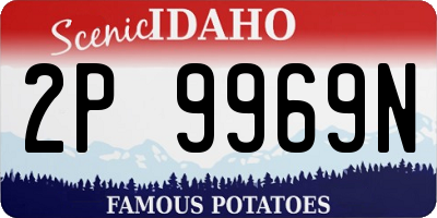 ID license plate 2P9969N
