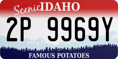 ID license plate 2P9969Y
