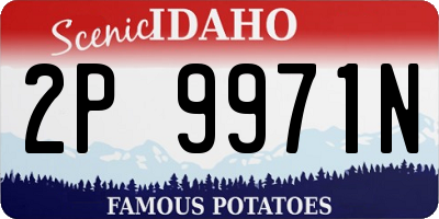 ID license plate 2P9971N