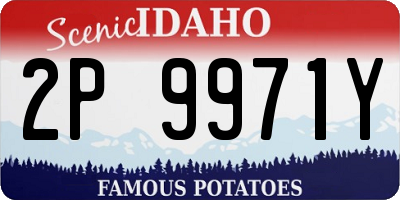 ID license plate 2P9971Y