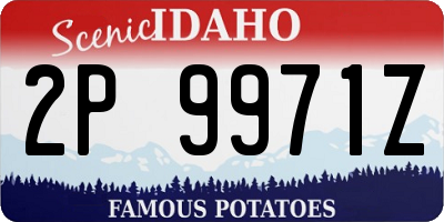 ID license plate 2P9971Z