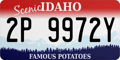 ID license plate 2P9972Y