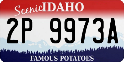 ID license plate 2P9973A