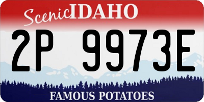 ID license plate 2P9973E