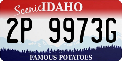 ID license plate 2P9973G