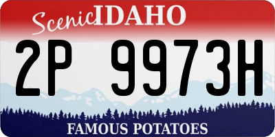 ID license plate 2P9973H