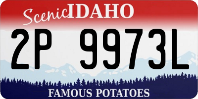 ID license plate 2P9973L