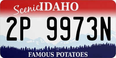 ID license plate 2P9973N