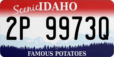 ID license plate 2P9973Q