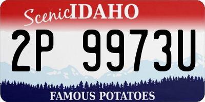 ID license plate 2P9973U