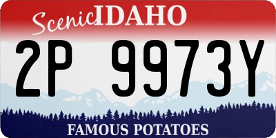 ID license plate 2P9973Y