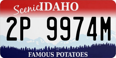 ID license plate 2P9974M