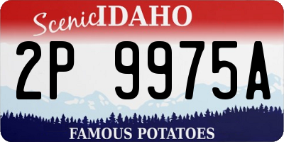 ID license plate 2P9975A