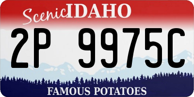 ID license plate 2P9975C