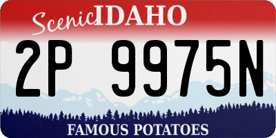 ID license plate 2P9975N