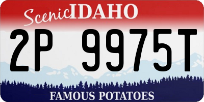 ID license plate 2P9975T