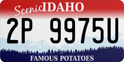 ID license plate 2P9975U