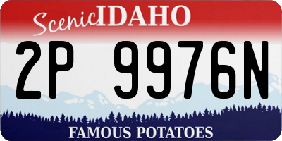 ID license plate 2P9976N