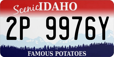 ID license plate 2P9976Y