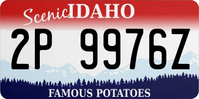 ID license plate 2P9976Z