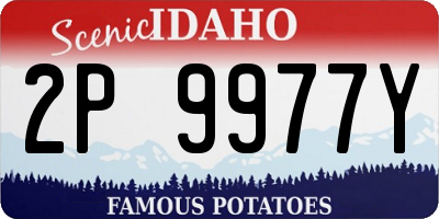 ID license plate 2P9977Y