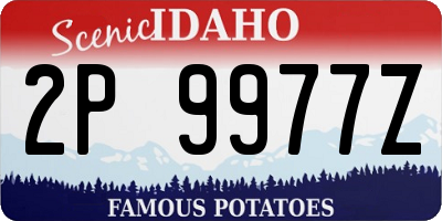 ID license plate 2P9977Z