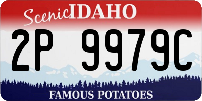 ID license plate 2P9979C