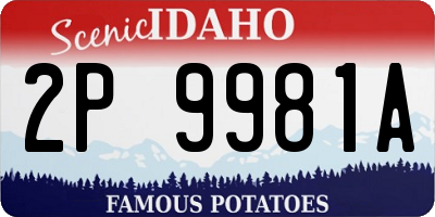 ID license plate 2P9981A