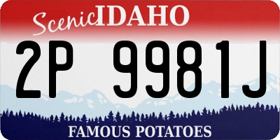 ID license plate 2P9981J
