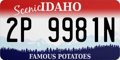 ID license plate 2P9981N