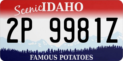 ID license plate 2P9981Z