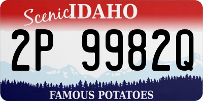 ID license plate 2P9982Q