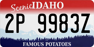 ID license plate 2P9983Z