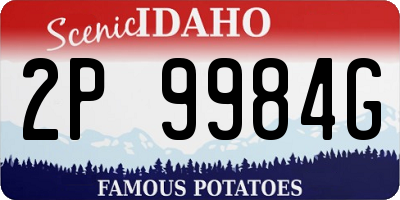 ID license plate 2P9984G