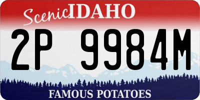 ID license plate 2P9984M