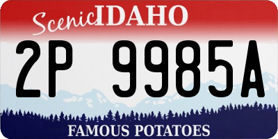 ID license plate 2P9985A