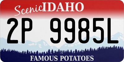 ID license plate 2P9985L
