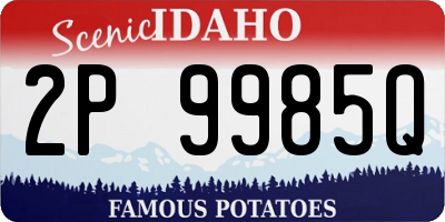 ID license plate 2P9985Q