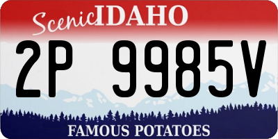 ID license plate 2P9985V