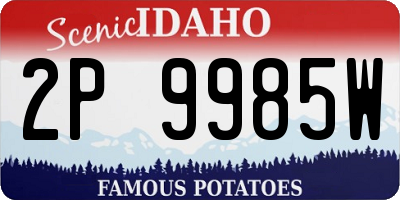 ID license plate 2P9985W