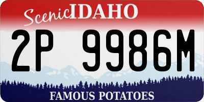ID license plate 2P9986M
