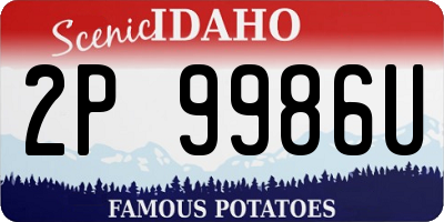 ID license plate 2P9986U