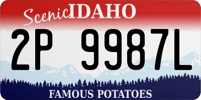 ID license plate 2P9987L
