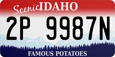 ID license plate 2P9987N