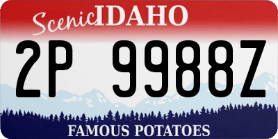 ID license plate 2P9988Z