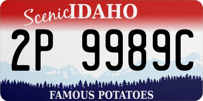 ID license plate 2P9989C