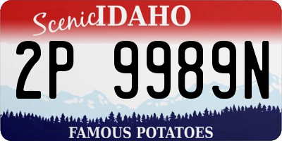 ID license plate 2P9989N