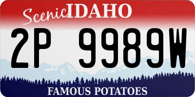 ID license plate 2P9989W