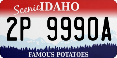 ID license plate 2P9990A
