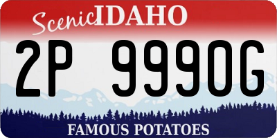 ID license plate 2P9990G